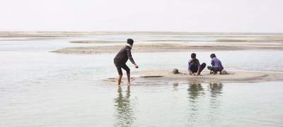 দেখে আসুন হরিরামপুরের পদ্মার চরের নয়নাভিরাম সৌন্দর্য