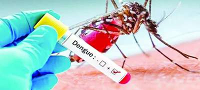 ডেঙ্গুতে আক্রান্ত হয়ে হাসপাতালে ভর্তি ৪২৯
