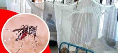 সারাদেশে ডেঙ্গুতে একজনের মৃত্যু, হাসপাতালে ভর্তি ২০৯