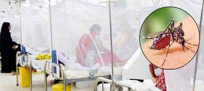 ৪৩২ জন ডেঙ্গুরোগী হাসপাতালে ভর্তি, ৩০ হাজার ছাড়ালো 