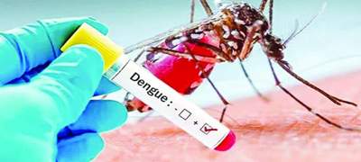 দেশে ডেঙ্গুতে কোনো মৃত্যু নেই, আক্রান্ত হাসপাতালে ভর্তি ৩১ জন