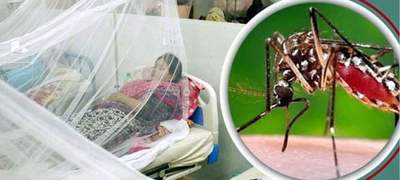 ২৪ ঘণ্টায় সারাদেশে ডেঙ্গু আক্রান্ত হয়ে হাসপাতালে ভর্তি ৪৪ জন