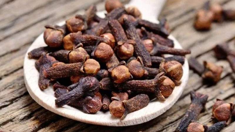 প্রতিদিন ২টি লবঙ্গ খান, ৫টি উপকার পান