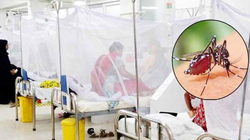 গত ২৪ ঘণ্টায় সারাদেশে ডেঙ্গুতে ৩ জনের মৃত্যু, হাসপাতালে ভর্তি ৪০৯