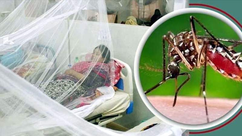 দেশে ডেঙ্গুতে ১২ জনের মৃত্যু, হাসপাতালে ভর্তি ৭৪০