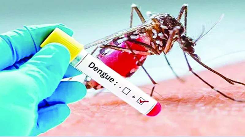 সারাদেশে ডেঙ্গুতে ৩ জনের মৃত্যু, হাসপাতালে ভর্তি ৯২৮ জন