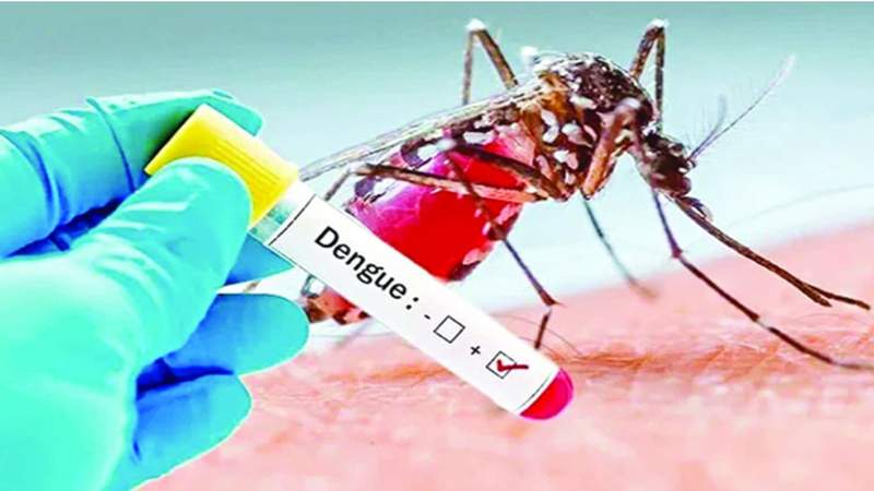 সারাদেশে ডেঙ্গুতে ৫ জনের মৃত্যু, হাসপাতালে ভর্তি ১১৩৯  জন